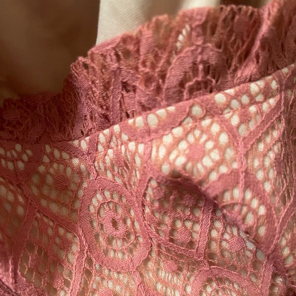 ROOLEE Romantic Beautiful Rose Pink Lace Lined MIDI Length Dress XXXL 3X New Tag - Picture 8 of 12